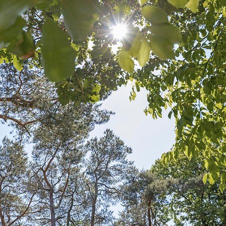 Lodge De Winterkoning Nunspeet Kültér fotó